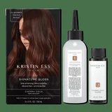 Kristin Ess Signature Hair Gloss
